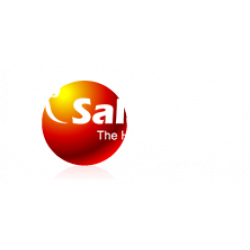 Salsa India Delhi logo 
