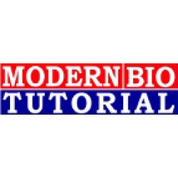 Modern Bio Tutorial logo 