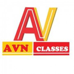 AVN Classes Patel Nagar logo 
