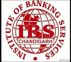 I.B.S Institution logo
