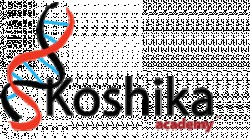 Koshika Academy logo 