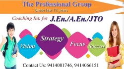 Professional Group logo 