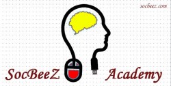 SocBeeZ Academy logo 