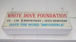White Dove Foundation logo 