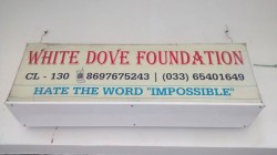 White Dove Foundation logo